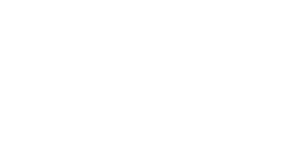 Logo Newmotion